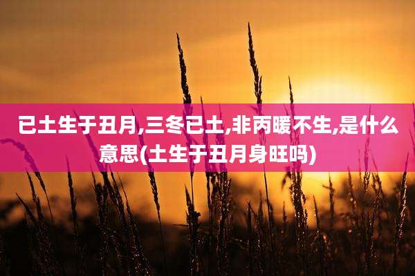 已土生于丑月,三冬已土,非丙暖不生,是什么意思(土生于丑月身旺吗)