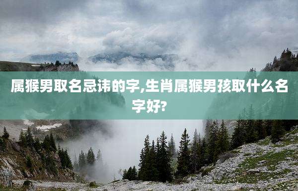 属猴男取名忌讳的字,生肖属猴男孩取什么名字好?