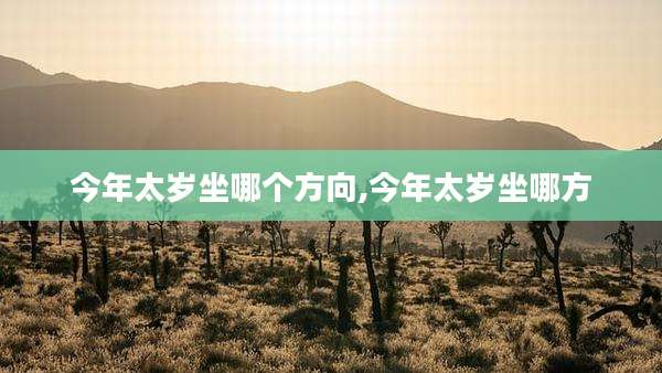 今年太岁坐哪个方向,今年太岁坐哪方