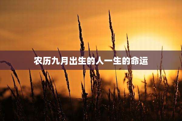 农历九月出生的人一生的命运