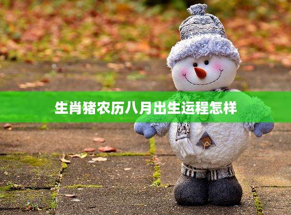 生肖猪农历八月出生运程怎样