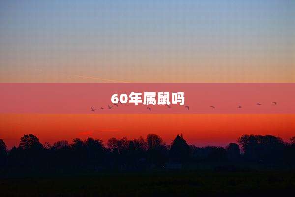60年属鼠吗