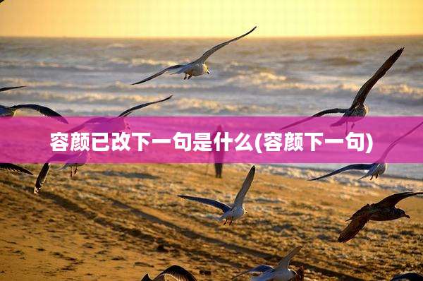 容颜已改下一句是什么(容颜下一句)