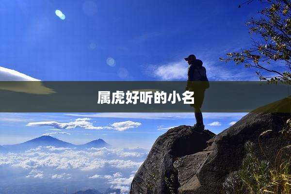 属虎好听的小名