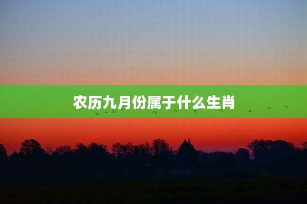 农历九月份属于什么生肖