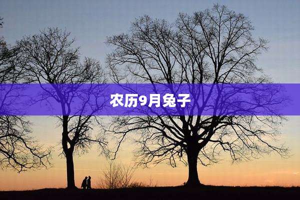 农历9月兔子