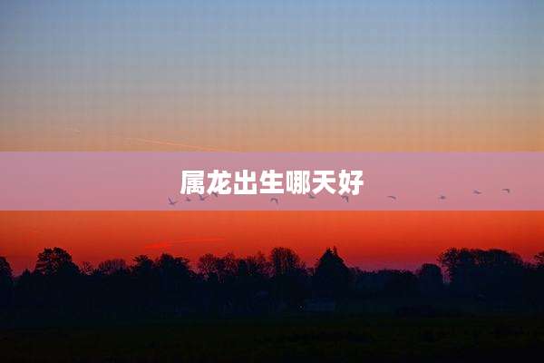 属龙出生哪天好