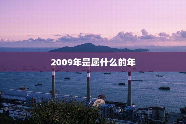 2009年是属什么的年