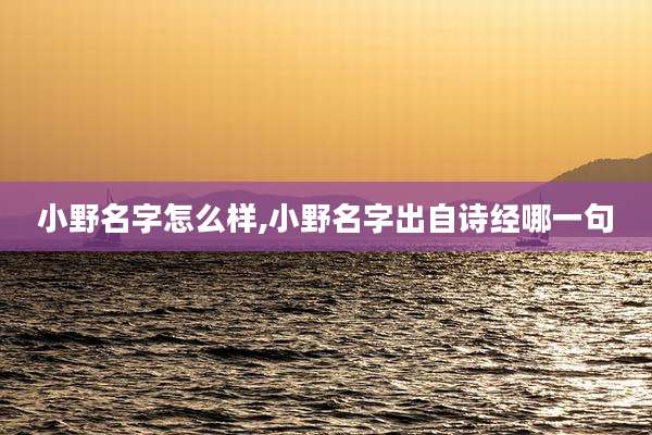 小野名字怎么样,小野名字出自诗经哪一句