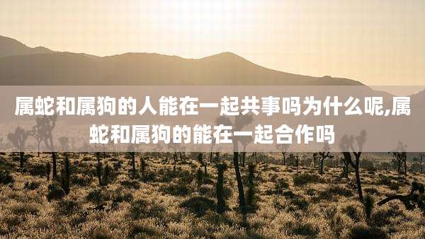 属蛇和属狗的人能在一起共事吗为什么呢,属蛇和属狗的能在一起合作吗