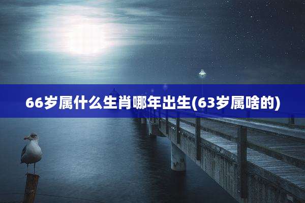 66岁属什么生肖哪年出生(63岁属啥的)
