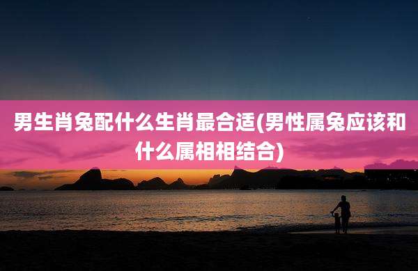 男生肖兔配什么生肖最合适(男性属兔应该和什么属相相结合)