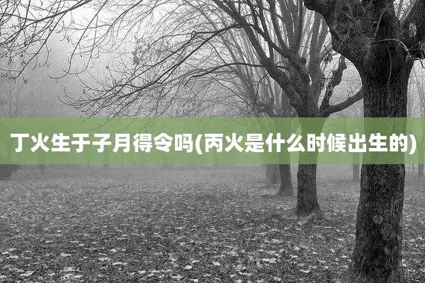 丁火生于子月得令吗(丙火是什么时候出生的)
