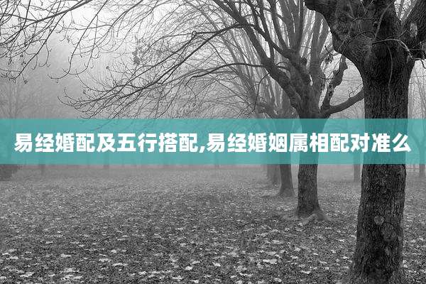 易经婚配及五行搭配,易经婚姻属相配对准么