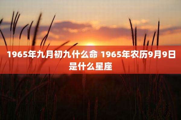 1965年九月初九什么命 1965年农历9月9日是什么星座