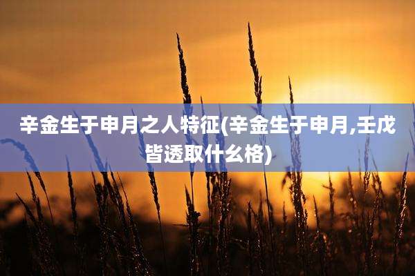 辛金生于申月之人特征(辛金生于申月,壬戊皆透取什幺格)