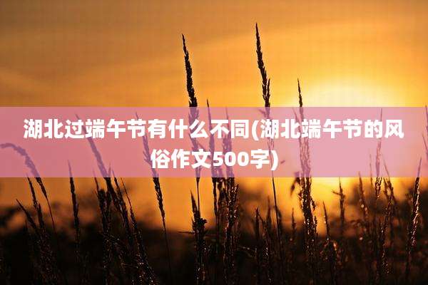 湖北过端午节有什么不同(湖北端午节的风俗作文500字)