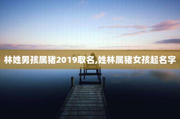 林姓男孩属猪2019取名,姓林属猪女孩起名字