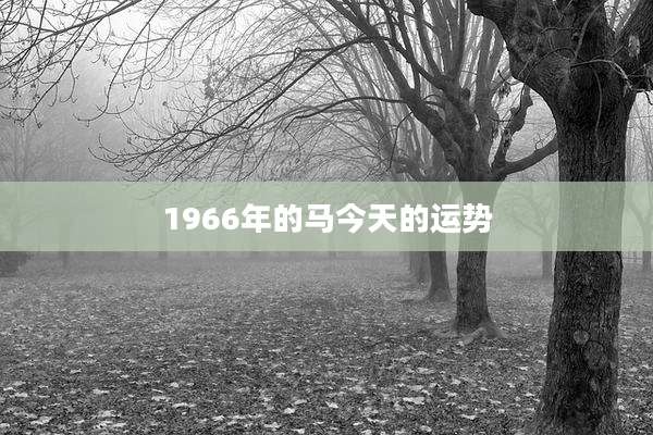 1966年的马今天的运势
