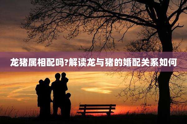 龙猪属相配吗?解读龙与猪的婚配关系如何