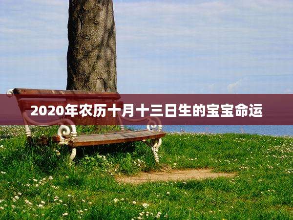 2020年农历十月十三日生的宝宝命运