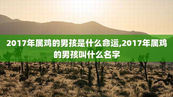2017年属鸡的男孩是什么命运,2017年属鸡的男孩叫什么名字