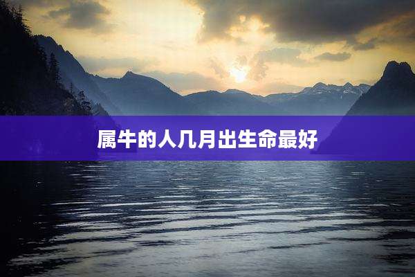 属牛的人几月出生命最好