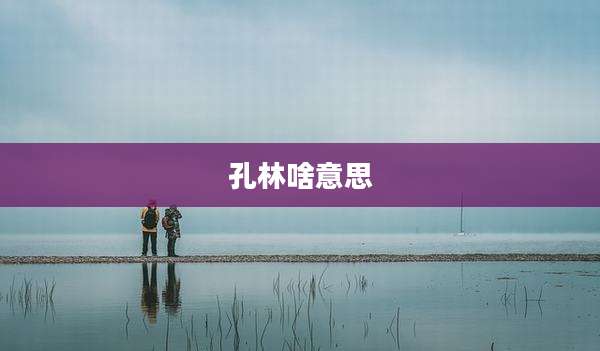 孔林啥意思