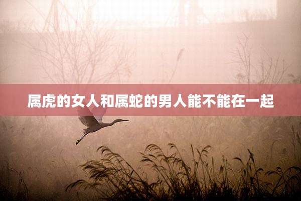 属虎的女人和属蛇的男人能不能在一起
