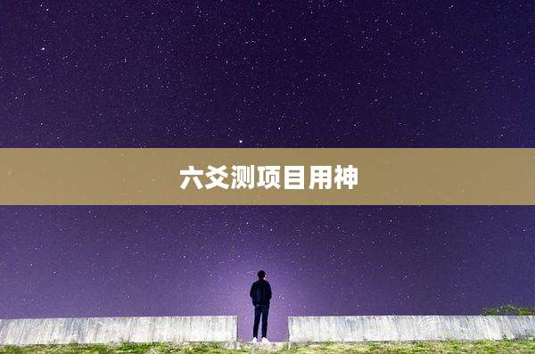 六爻测项目用神