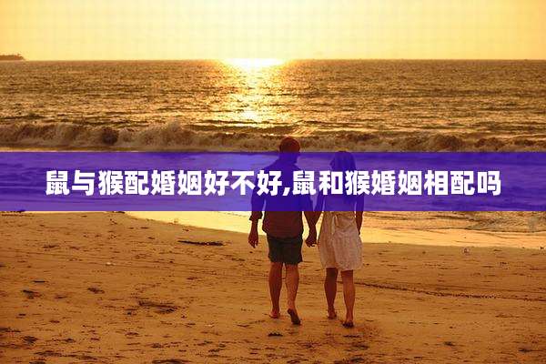 鼠与猴配婚姻好不好,鼠和猴婚姻相配吗