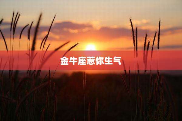 金牛座惹你生气