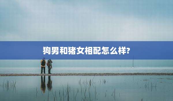 狗男和猪女相配怎么样?