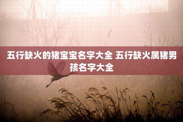 五行缺火的猪宝宝名字大全 五行缺火属猪男孩名字大全