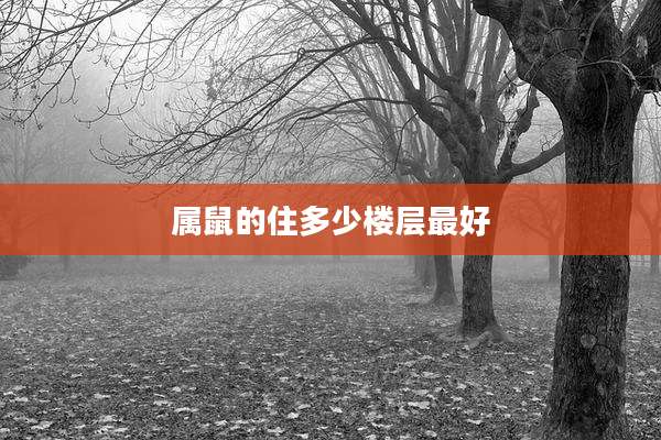 属鼠的住多少楼层最好