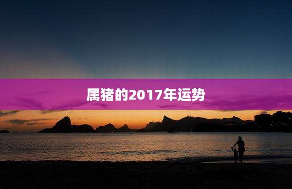 属猪的2017年运势