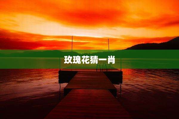 玫瑰花猜一肖