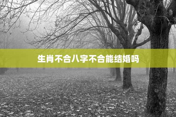 生肖不合八字不合能结婚吗