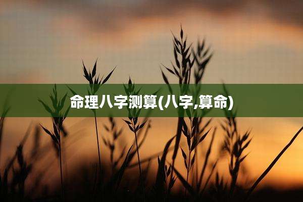 命理八字测算(八字,算命)