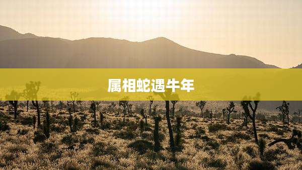 属相蛇遇牛年