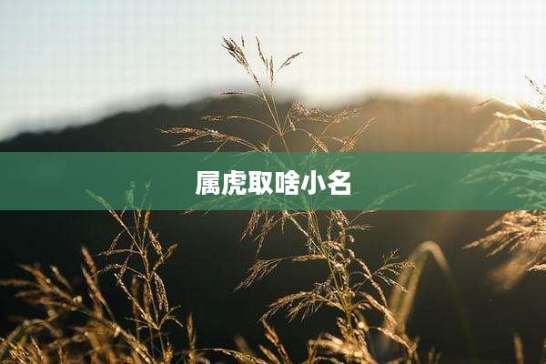 属虎取啥小名