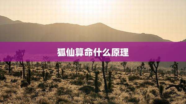 狐仙算命什么原理