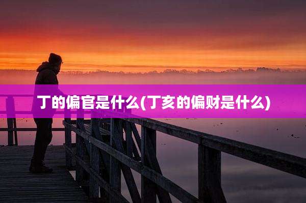 丁的偏官是什么(丁亥的偏财是什么)