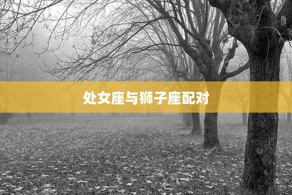 处女座与狮子座配对
