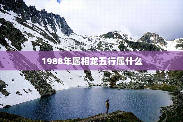 1988年属相龙五行属什么