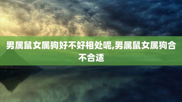 男属鼠女属狗好不好相处呢,男属鼠女属狗合不合适