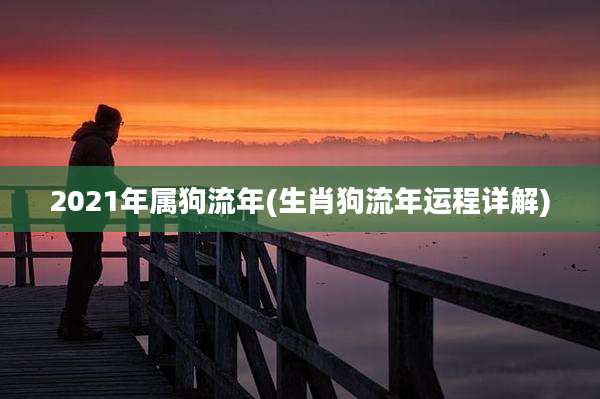 2021年属狗流年(生肖狗流年运程详解)