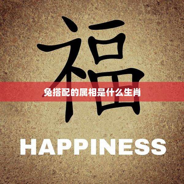 兔搭配的属相是什么生肖