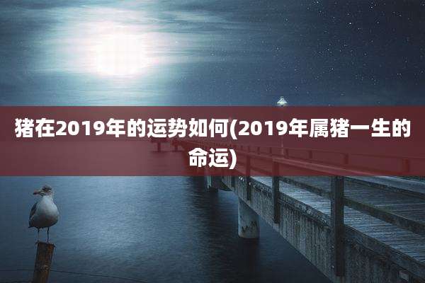 猪在2019年的运势如何(2019年属猪一生的命运)