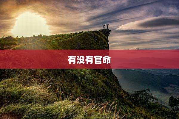 有没有官命